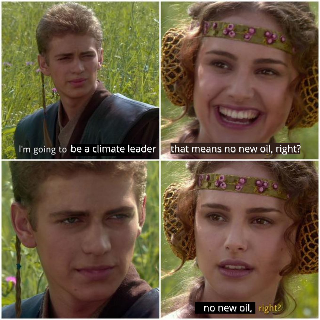 annie 🌍 tweet media