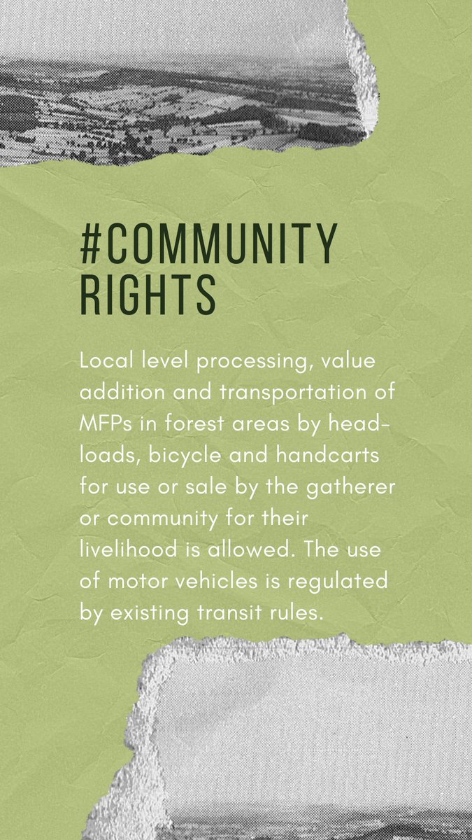 Not just collection, indigenous tribes can process and benefit from sale of forest produce. #forests #ClimateAction #ClimateJustice #sustainability #india #IndigenousLivesMatter #ClimateCrisis #GlobalWarming  <a href="/UNEP/">UN Environment Programme</a> <a href="/UNFCCC/">UN Climate Change</a> <a href="/UNICEFIndia/">UNICEF India</a> @FNFSouthAsia <a href="/parthjshah/">Parth J Shah</a> <a href="/LeoDiCaprio/">Leonardo DiCaprio</a>