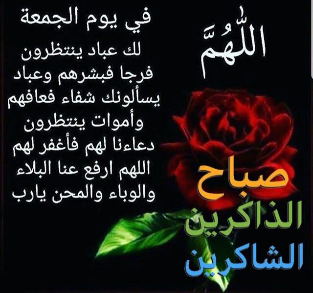 p_qatari's tweet image. 
