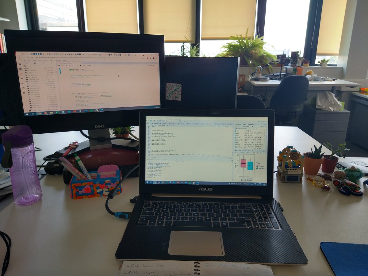 PerlaRoman27's tweet photo. Finally back to the office 🧑‍💻
#PhDlife https://t.co/1HbYdgEfyv