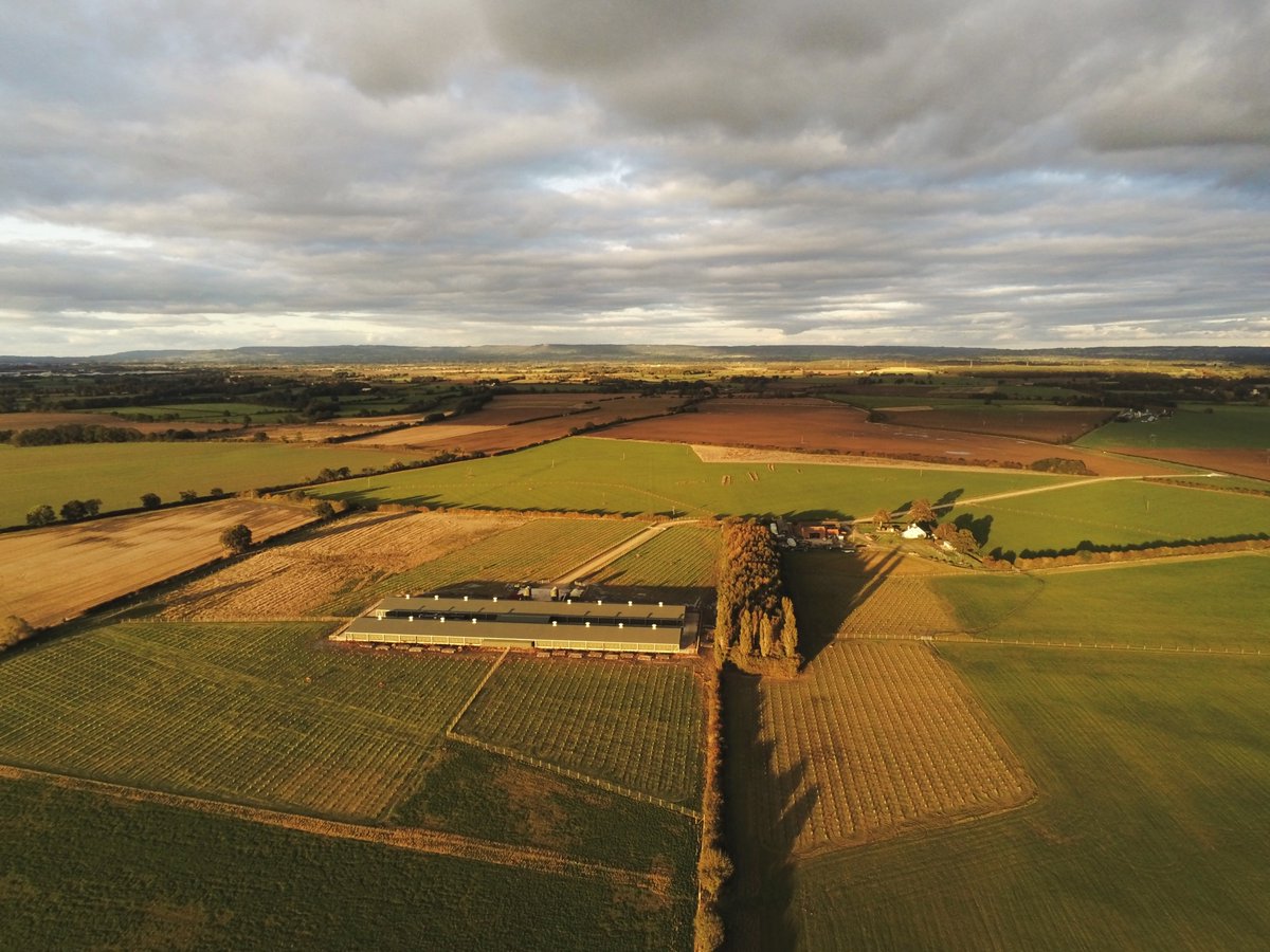 SallyFarms's tweet photo. As far as the eye can see we have @SallyFarms we have about 600 acres and there's lots going on... Do you know where we are based ???  - Helperby Near Thirsk https://t.co/qrCm4daVnO