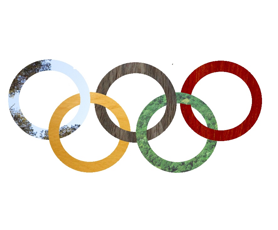 Field hockey sticks are still made of wood, but for higher grade sticks  composite materials are used more often

Go #BELRedLions #RedLions!

#OlympicWood #DYK