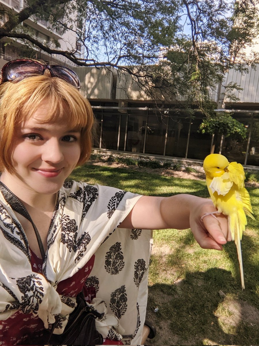 AndreaaCW's tweet image. On a lighter note I met A BIRD yesterday. I am happy to report this  bird did not seem to have PROBLEMS!