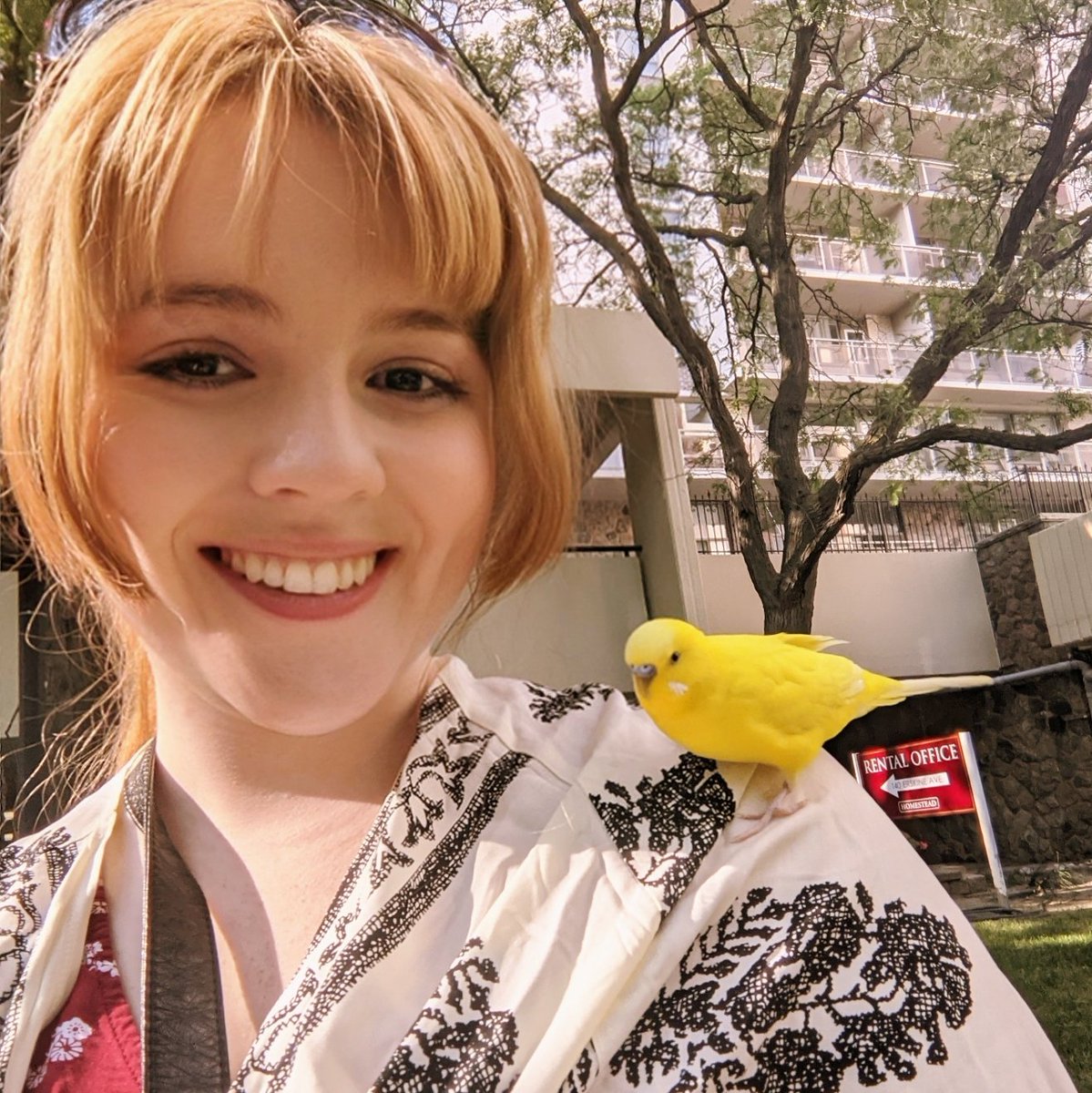 AndreaaCW's tweet image. On a lighter note I met A BIRD yesterday. I am happy to report this  bird did not seem to have PROBLEMS!