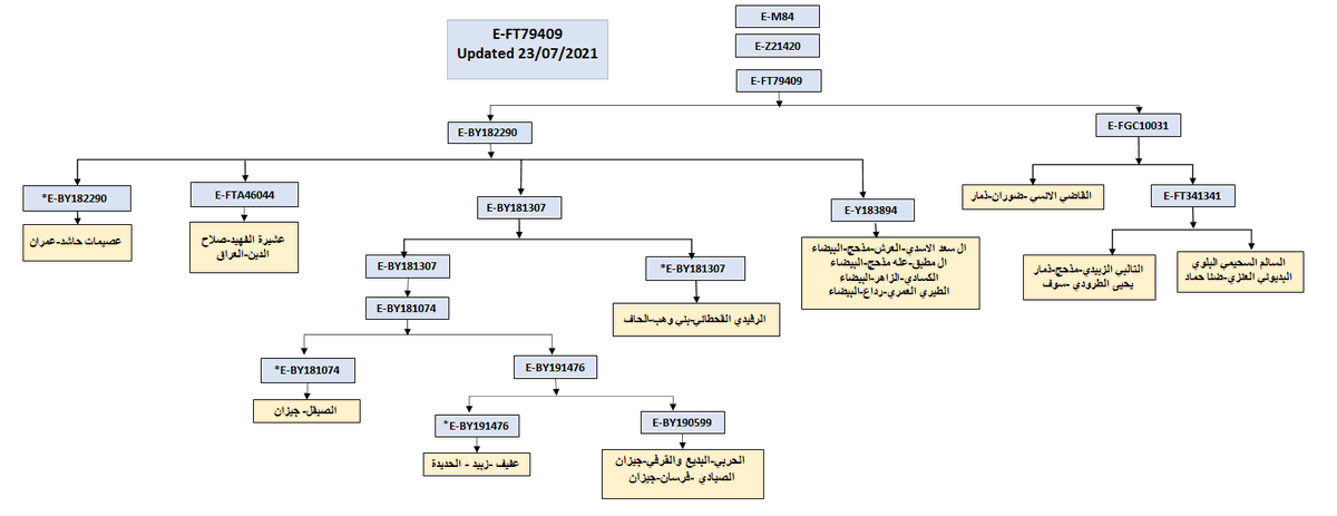 E_m84_results's tweet photo. يسرنا إعلان نتيجة BigY700 لعينة خليل الفهيد-سامراء-العراق 
برقم:SI10945
موجبة للتحورات:
E-M84>Z21420>BY182290
عشيرة الفهيد يتواجدون في سامراء-العراق وفي دير الزور- سوريا (موروثهم أنهم من عرب العقيلات)
 العينة تلتقي بالتكتل المذحجي أسفل التحور FT79409
*مرفقة مشجرة التحور E-FT79409 https://t.co/Fl7IPCXtBN