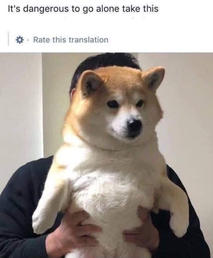 Shibe tweet media