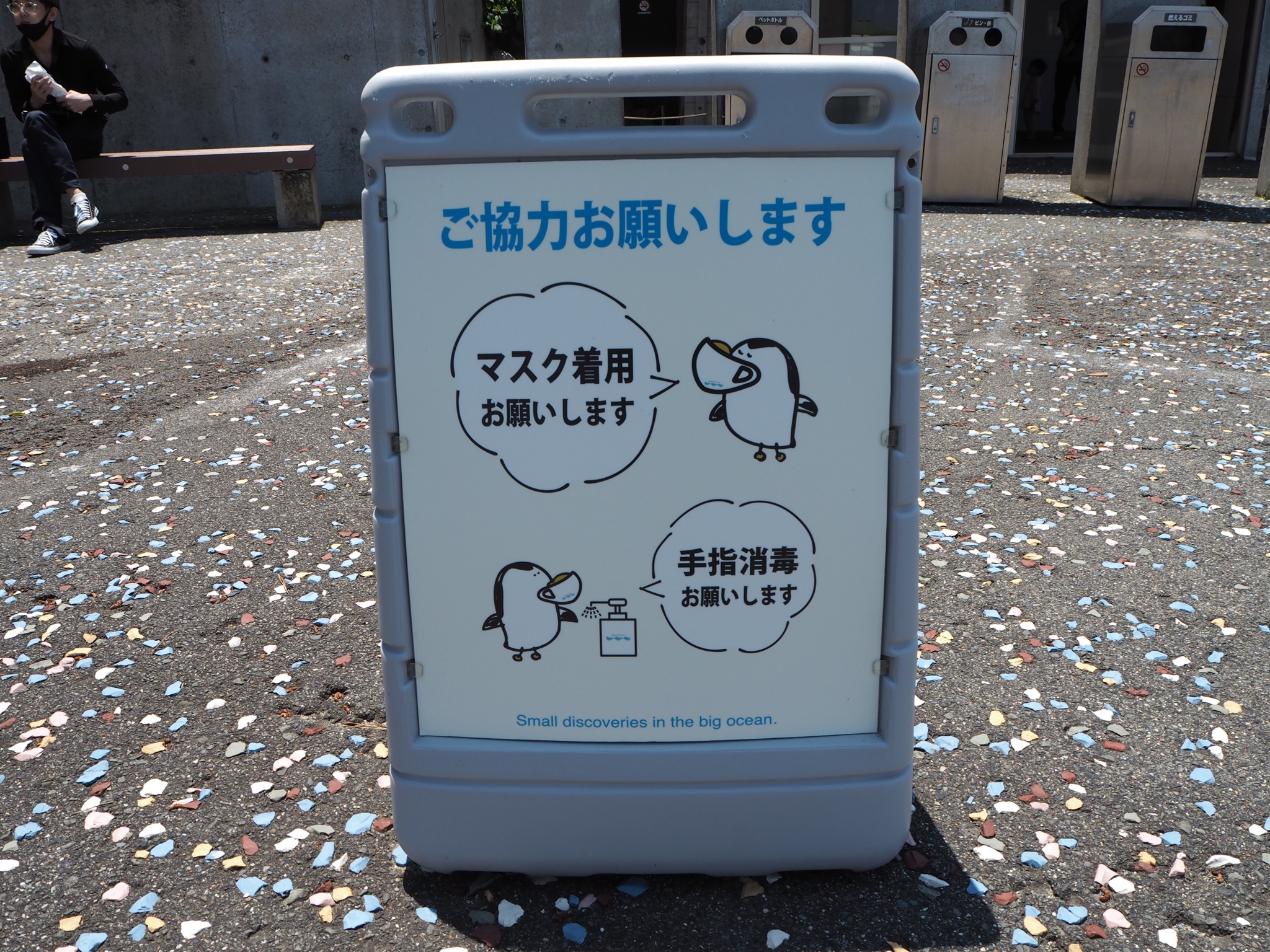 茅野そと 城崎マリンワールドに行ったら イラストが大変好みでした コメントも逸脱 人数多かったらアジ釣ってフライにしてもらってた T Co Hvn9vdwtb4 Twitter