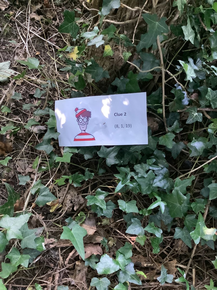 Horsley Woodhouse Primary School tweet media