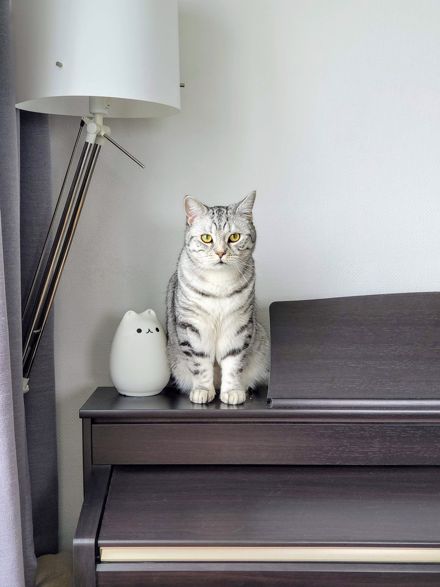 BeMacized's tweet image. 