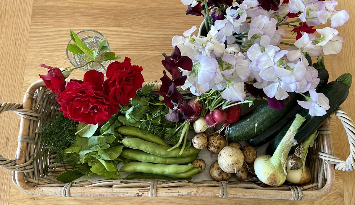 Ok, this is pretty 😎 Straight from the garden. What do you think we have here? #GardenersWorld