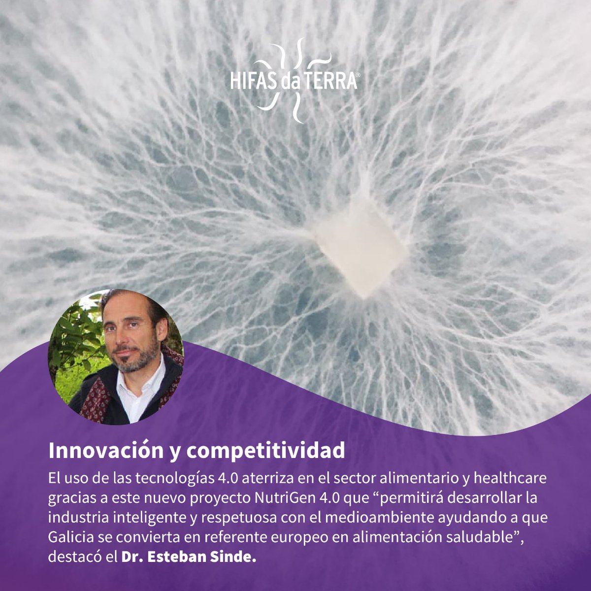 HifasdaTerra's tweet photo. Con nuestro proyecto #NutriGen 4.0 apostamos por la industria 4.0 en los sectores agroalimentario y #biotecnológico ✅ Nos alineamos con las tendencias internacionales y marcamos la pauta para un nuevo modelo productivo innovador para #Galicia, https://t.co/5xgsWZNBTW