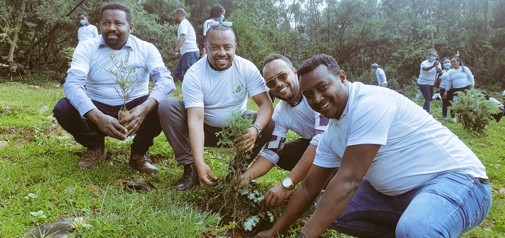 The coordination and suppprt from this year's #GreenLegacy organizers at City and Subcity levels was extremely commendable. Our gratitude goes to their officers and leadership! #አረንጓዴአሻራ2013 #GreenLegacy2021
#Ethiopia #ResilientlyOnwards