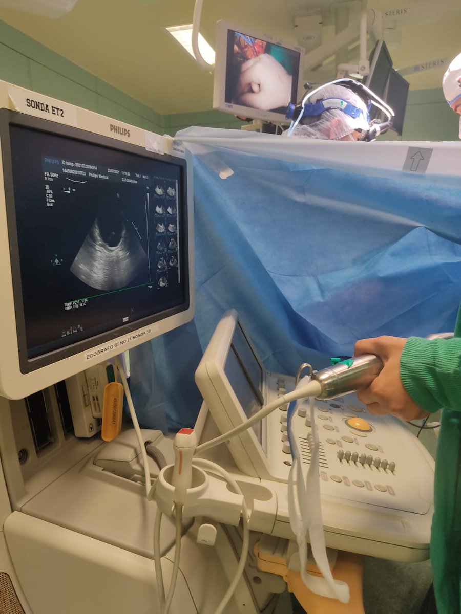 Pilar Argente Navarro tweet media