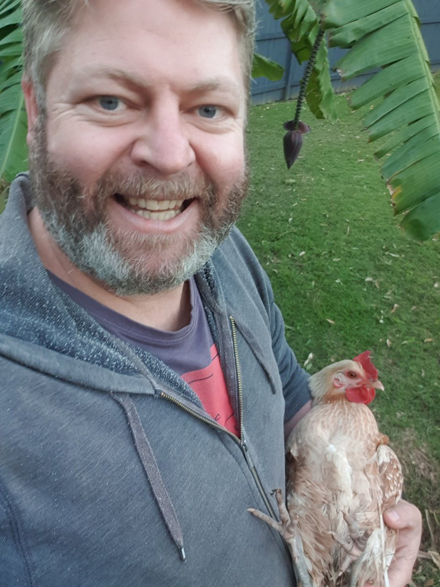 That's just cluckin lovely...