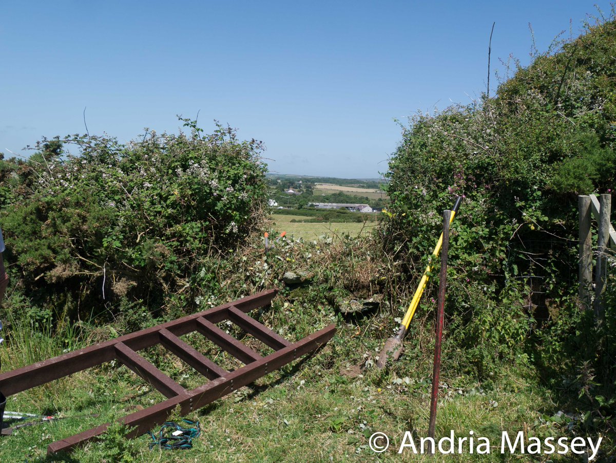 RamblersCymru's tweet photo. #GwefrGwener - ymdrechion gwych gan Ramblers Ynys Mon i glirio llwybrau a gosod camfeydd ar lwybr troed sydd wedi'i rwystro ger #Bodedern @cyngormon
Darganfyddwch fwy am gyfleoedd gwirfoddoli gyda @RamblersGB> https://t.co/3qLBk9eW3G #KeepWalesWalking #CymruCerdded https://t.co/sgHz9AyJR6