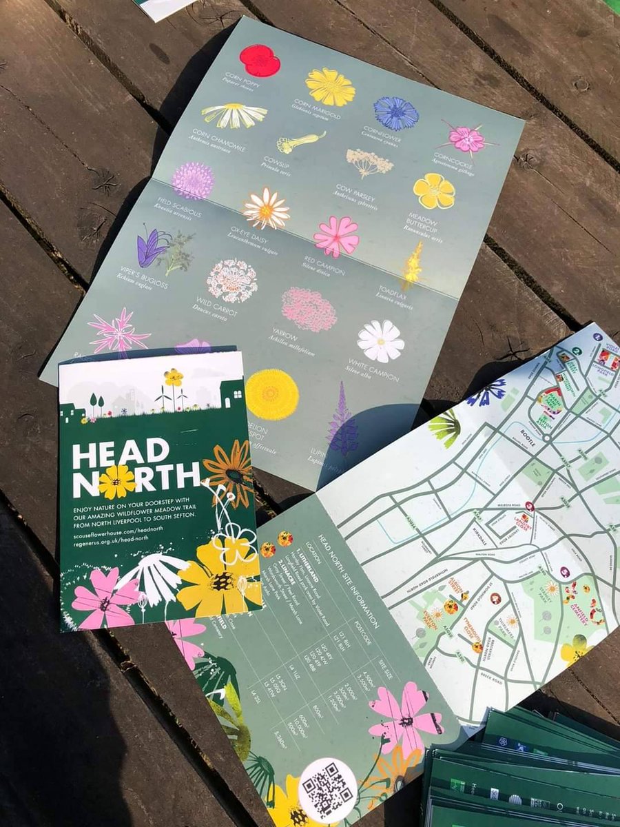 Regenerus's tweet photo. Explore our 11 #headnorth #wildflower sites across Sefton and Liverpool. Maps + flower identification sheets available at @World_Museum @Ykids_Charity @VenusCentre @flowerguyfloris #maylogan #northpatk @TheGatewayColl @scouseflowers @LpoolCityRegion @MetroMayorSteve #GreenLCR https://t.co/nfysnO3Xdm