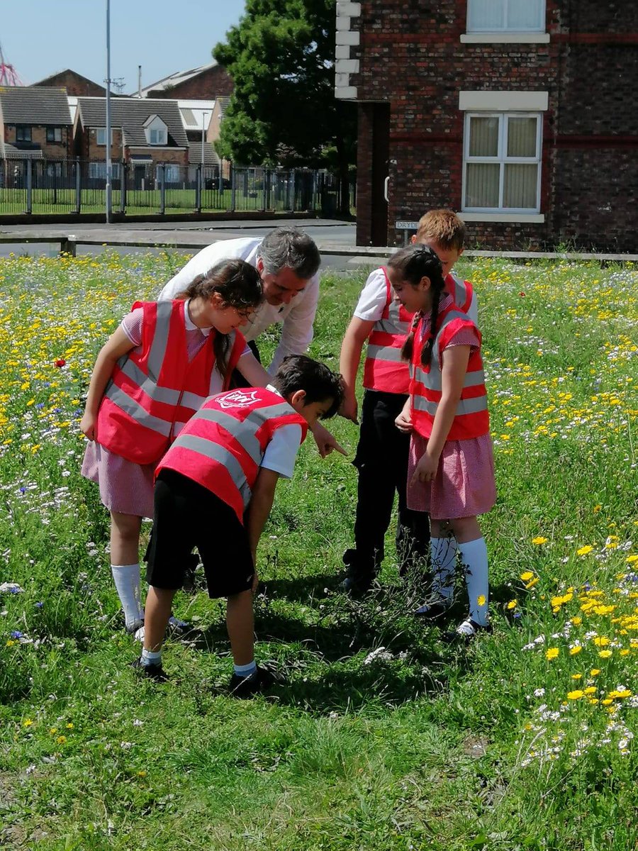 Regenerus's tweet photo. Explore our 11 #headnorth #wildflower sites across Sefton and Liverpool. Maps + flower identification sheets available at @World_Museum @Ykids_Charity @VenusCentre @flowerguyfloris #maylogan #northpatk @TheGatewayColl @scouseflowers @LpoolCityRegion @MetroMayorSteve #GreenLCR https://t.co/nfysnO3Xdm