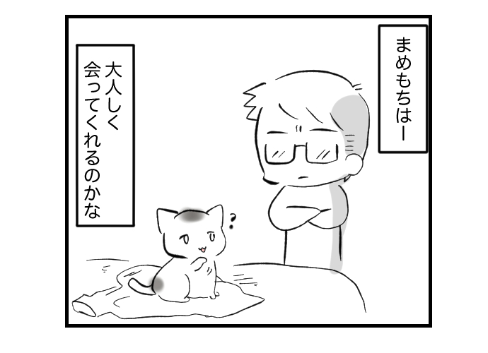 #挨拶365
#7月もねこねこマンガ 23/30

猫のまめもち
乾くんの未来予想図

今日もおつカレー🍛様です。 