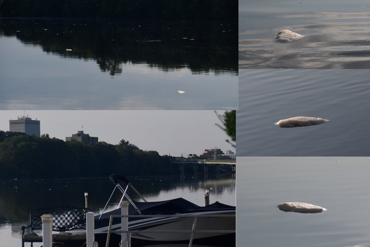 What has been floating in the Merrimack River all morning north of Amoskeag?