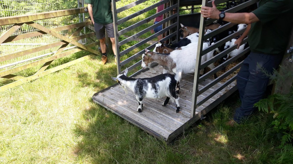 Surrey Heath Borough Council tweet media