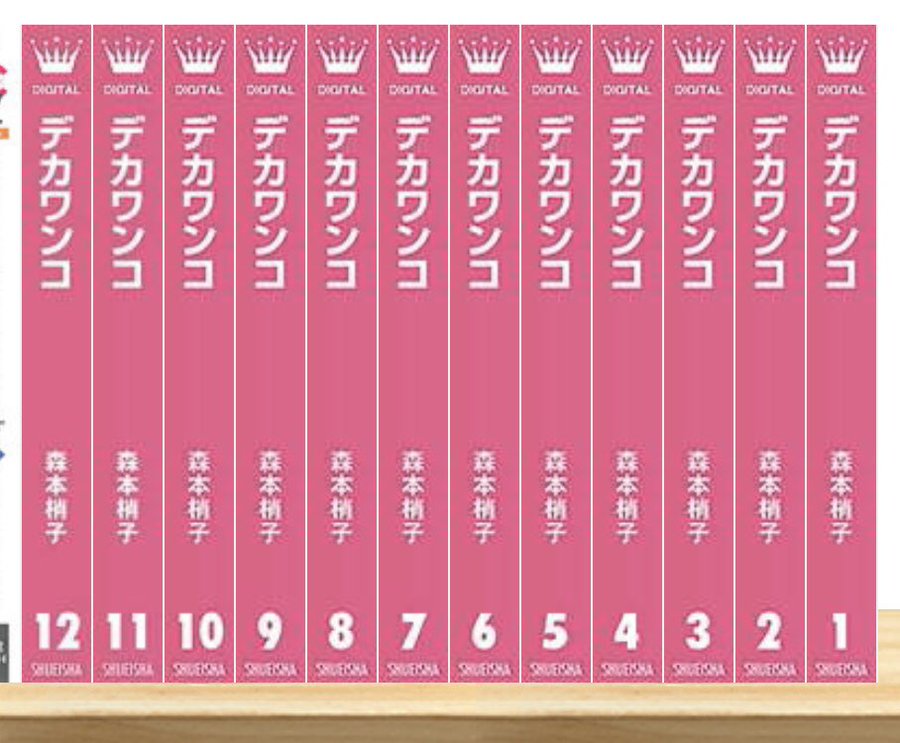 デカワンコ最終回結末ネタバレ 漫画ドラマ完結その後の最後はどうなる 再開や続きはある 花森一子やキリの運命は エンタメ 漫画blog