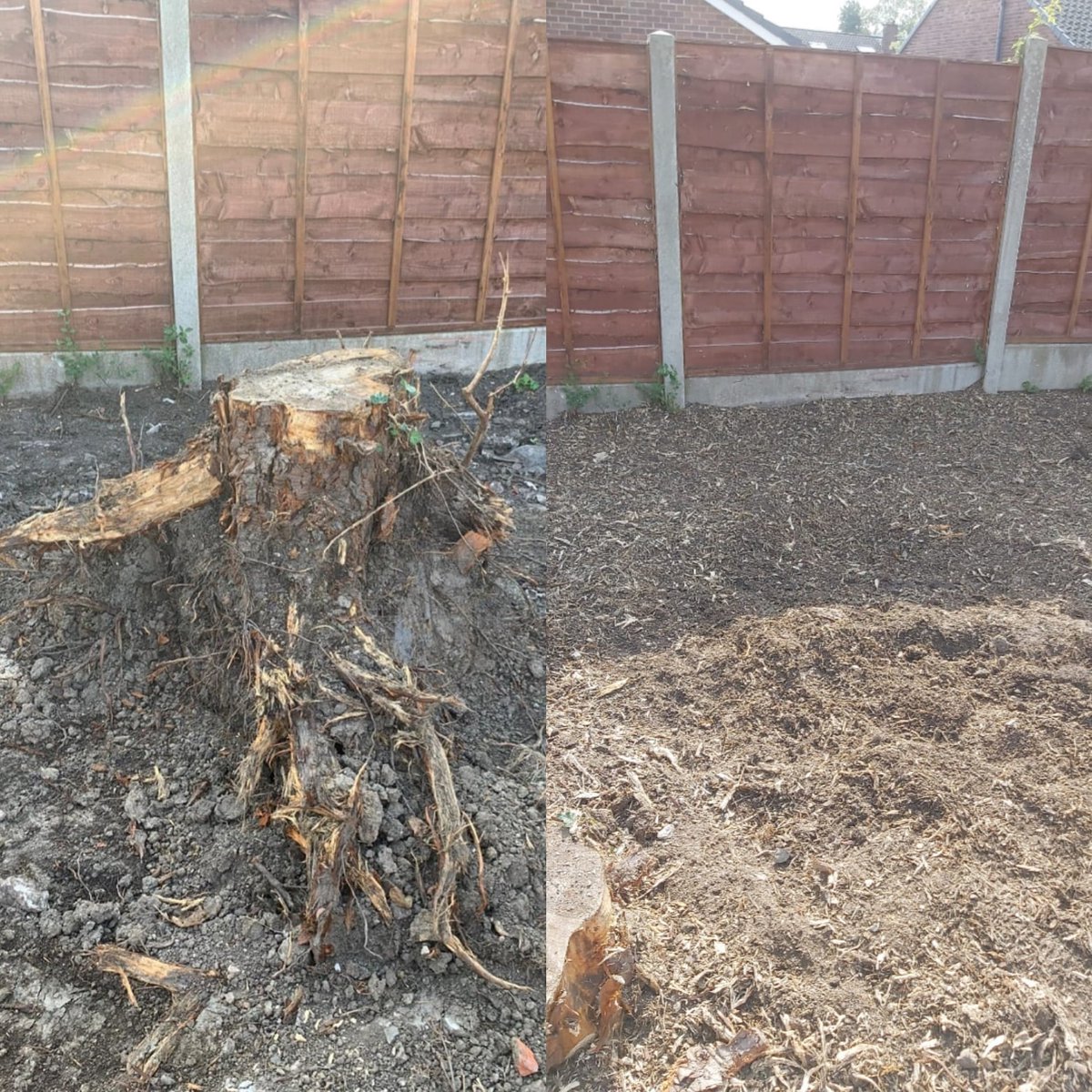 Stump removal this morning in Cheadle #treestumpremoval #rapidstumpremoval #cheadle #cheshire