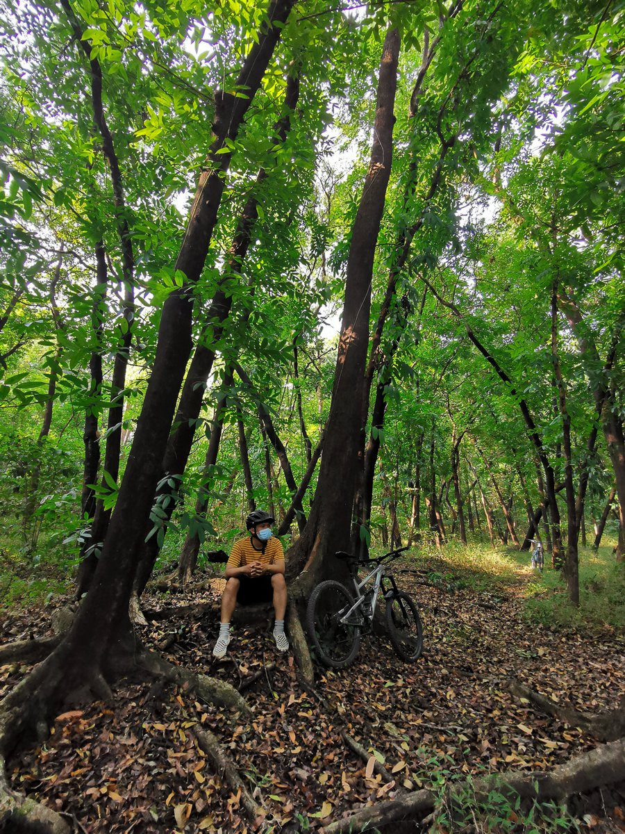 Ari Ramadhan tweet media