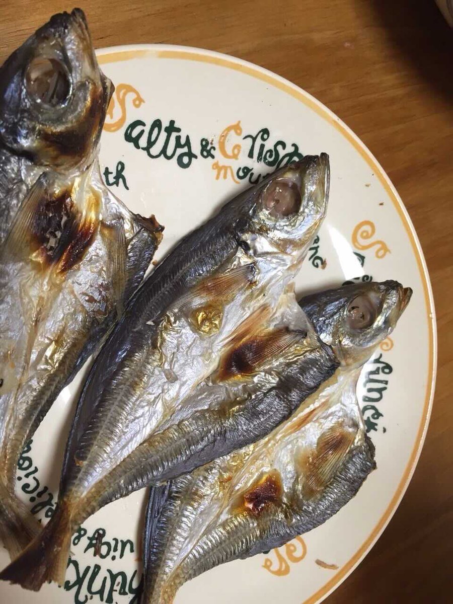 魚の目玉を食べると頭が良くなるらしいというウワサのtwitterリアルタイム検索結果 Meyou ミーユー