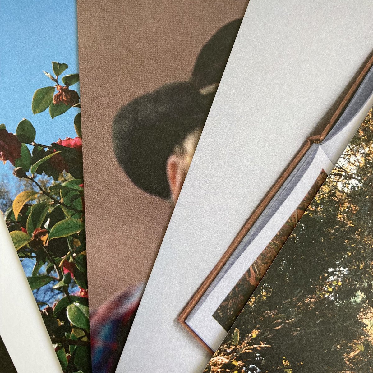 LeftABit_'s tweet image. What’s inside the zine pack? #photozine #photography #publishing #zine #ourcollectivebreath