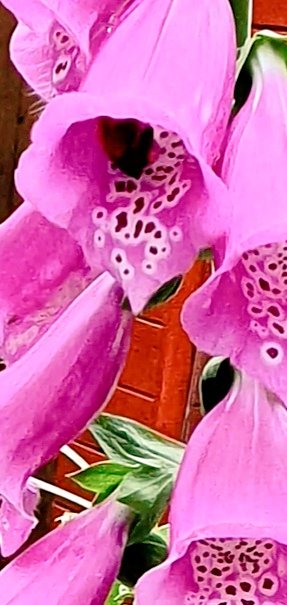 Mrs.H.💙 tweet media