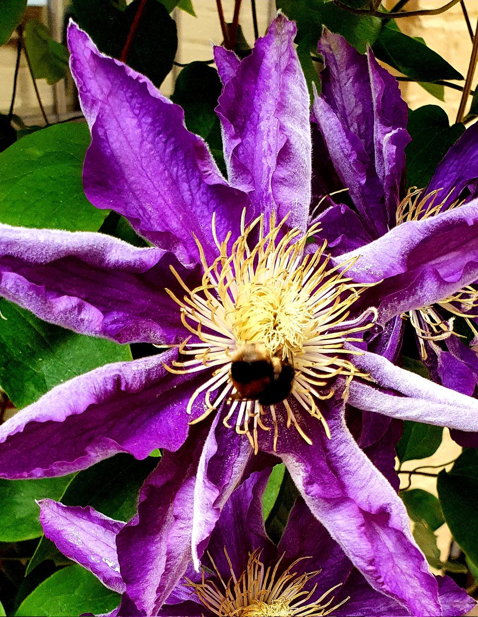 Mrs.H.💙 tweet media