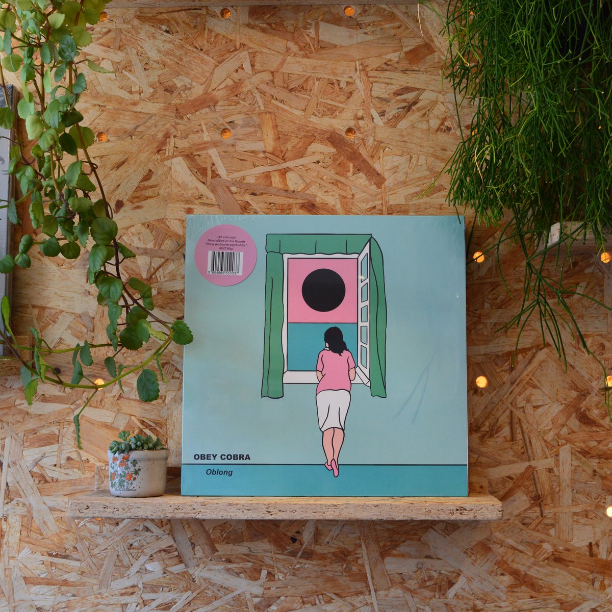 SGR_RecordCafe's tweet image. New Release Day - so many great records hitting the shelves today. Favourites from #KDAP (of @bssmusic) @ObeyCobra_band @ejthackray @descendents @AliRobertsMusic @mollyjburch all available in store and online: linktr.ee/SGR_