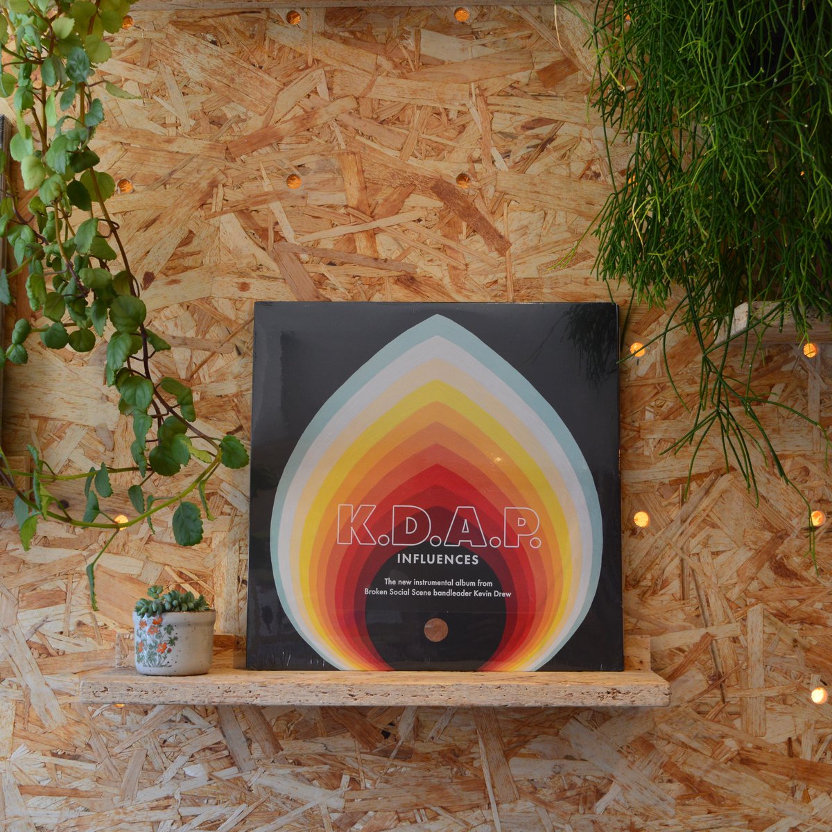 SGR_RecordCafe's tweet image. New Release Day - so many great records hitting the shelves today. Favourites from #KDAP (of @bssmusic) @ObeyCobra_band @ejthackray @descendents @AliRobertsMusic @mollyjburch all available in store and online: linktr.ee/SGR_