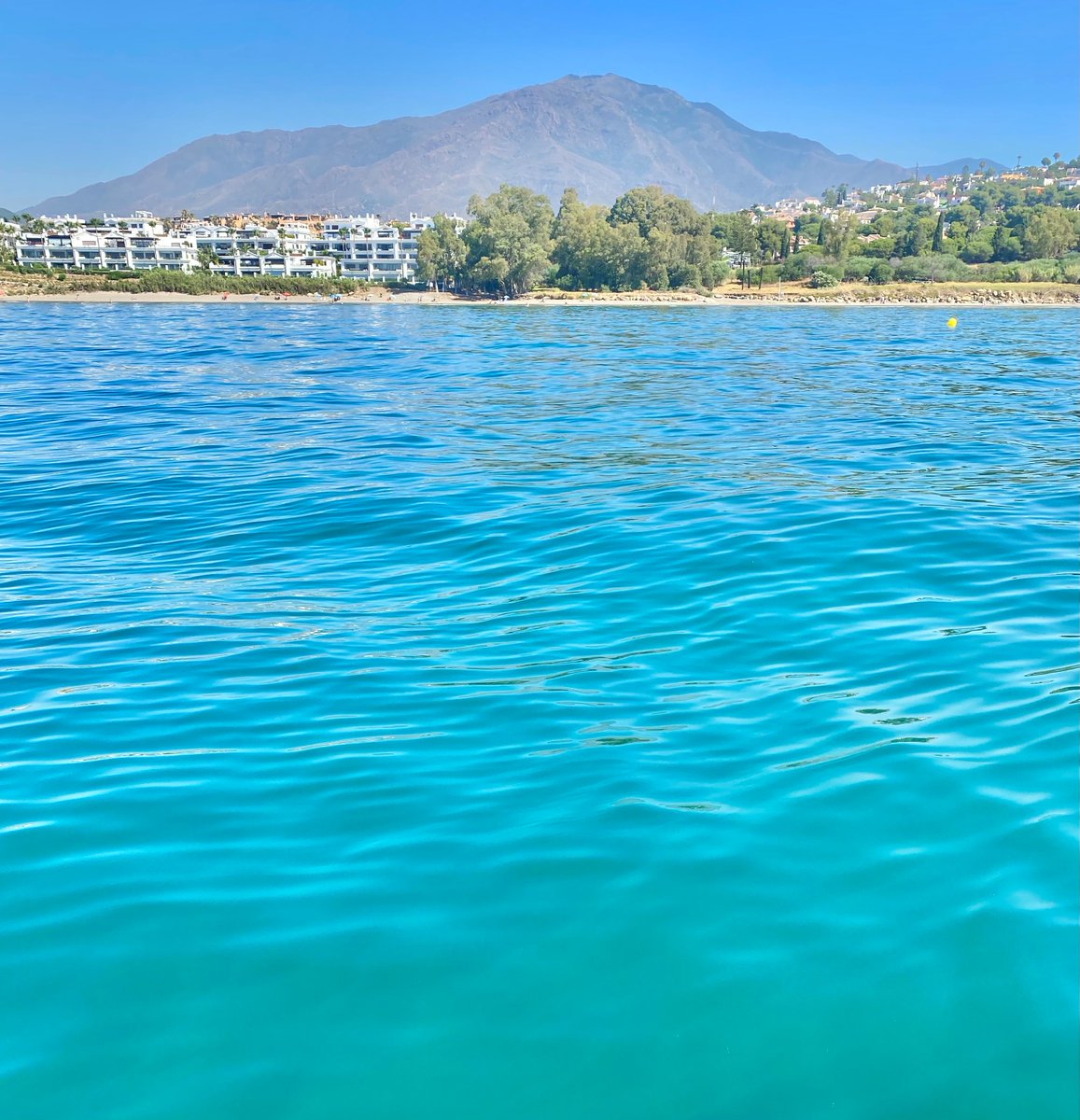 Vive Costa del Sol tweet media