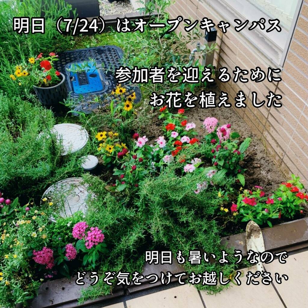 理学療法士のtwitterリアルタイム検索結果 Meyou ミーユー