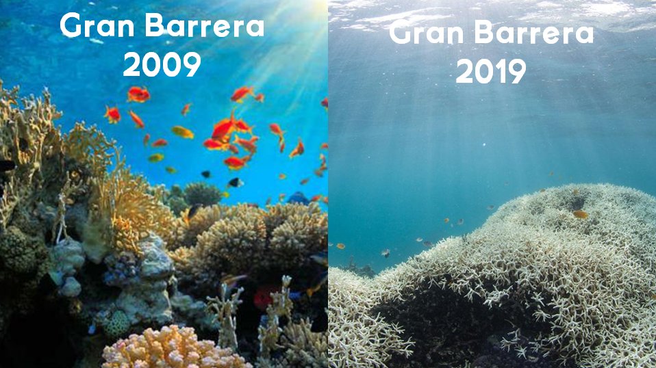 Injustificable!

La diplomacia española se ha lucido en <a href="/UNESCO/">UNESCO 🏛️ #Education #Sciences #Culture 🇺🇳</a>

Finalmente #España ha pedido que NO se incluya la Gran Barrera de Coral en la Lista de Lugares en Peligro retrasando así las medidas para salvarla.

<a href="/sanchezcastejon/">Pedro Sánchez</a> <a href="/jmalbares/">José Manuel Albares</a> <a href="/MAECgob/">Ministerio de Asuntos Exteriores, UE y Cooperación</a> <a href="/Teresaribera/">Teresa Ribera</a> <a href="/WWFLeadOceans/">WWF Oceans 🌊</a>