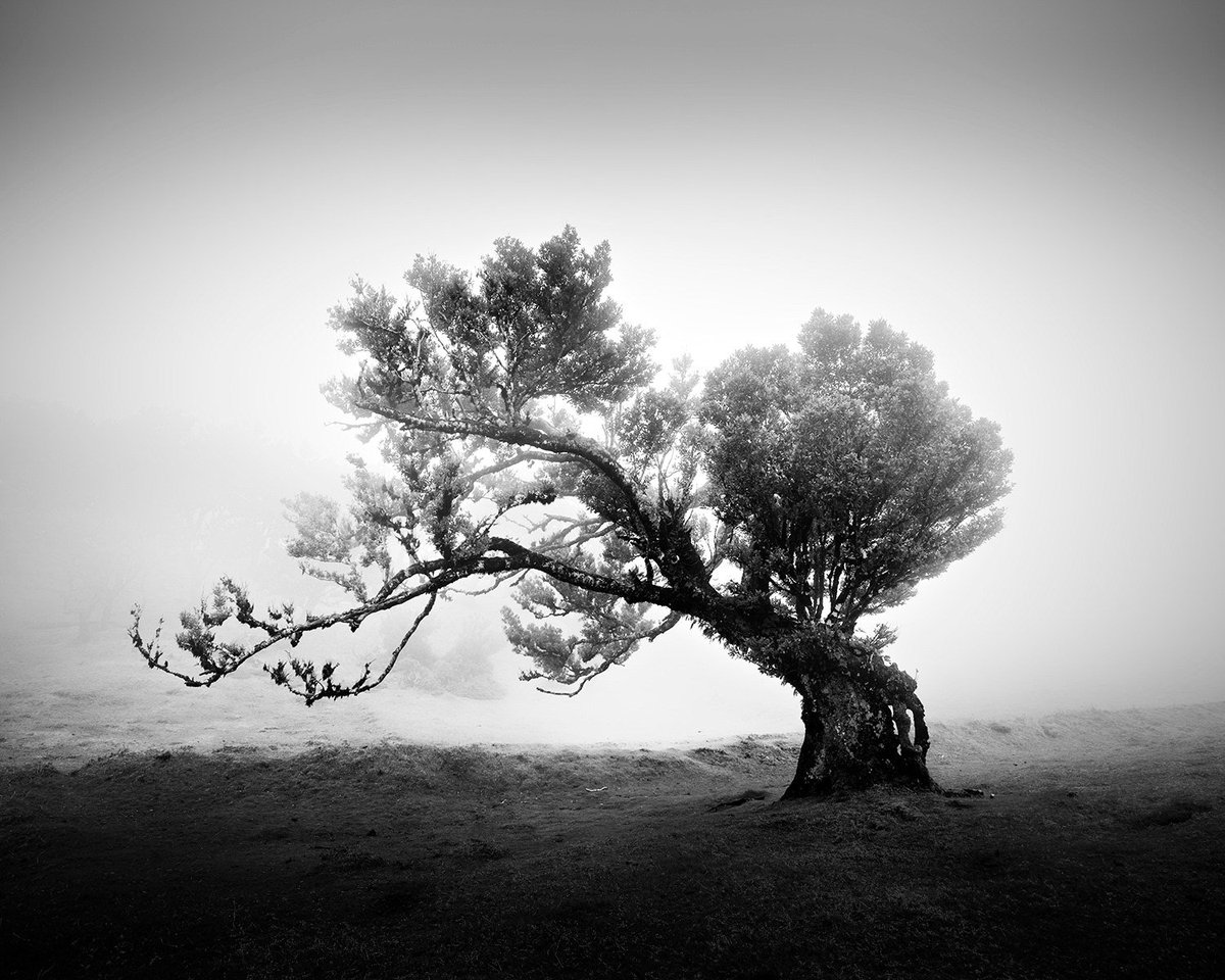 rvoneinem's tweet photo. Michael Schlegel #PhotographyIsArt https://t.co/eHUUCgQdKD