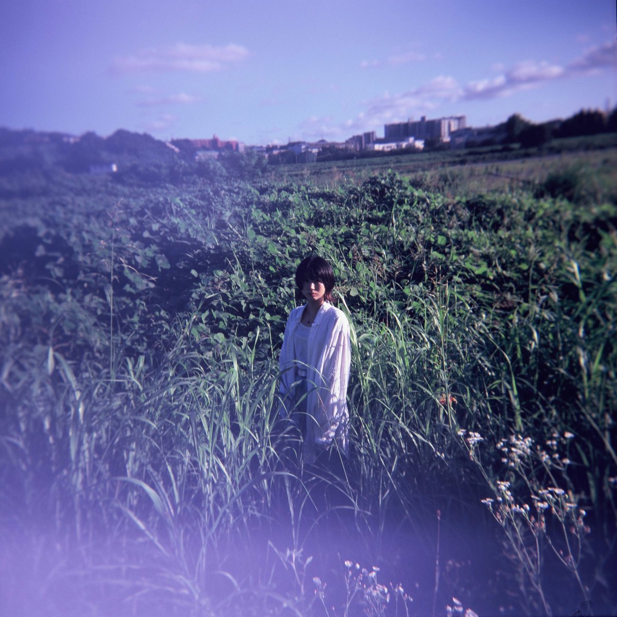 _ngihy_'s tweet photo. ブローニー

photo:
@netarouo https://t.co/or8lhFvuEV
