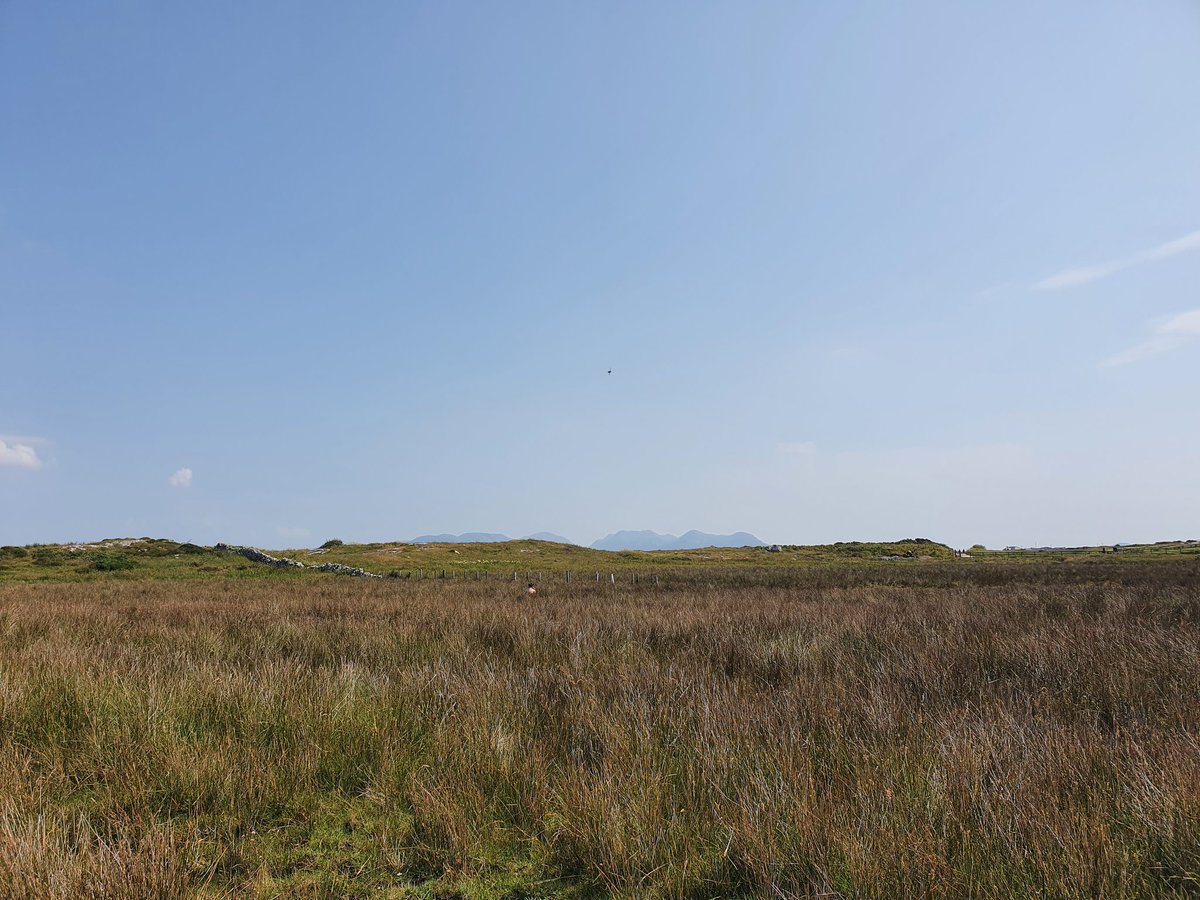 Doing fieldwork in 27°C?!? who would have thought we'd be dying for some rain today
#BlueCarbon #Galway #HotTopic <a href="/ShannonABurke/">shannon burke</a>