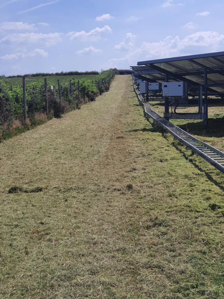 DKSLimited's tweet photo. A perfect day to make sure our clients solar parks are looking their best. Have a great weekend.  #solarenergy #solarpanels #landmanagement #renewableenergy https://t.co/JmN72ZmGpy