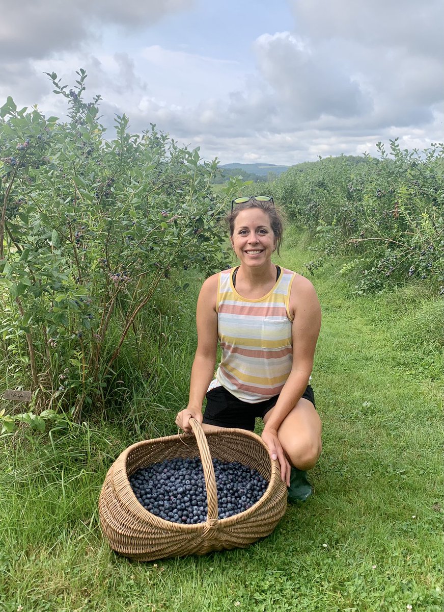 Burdick Blueberries tweet media