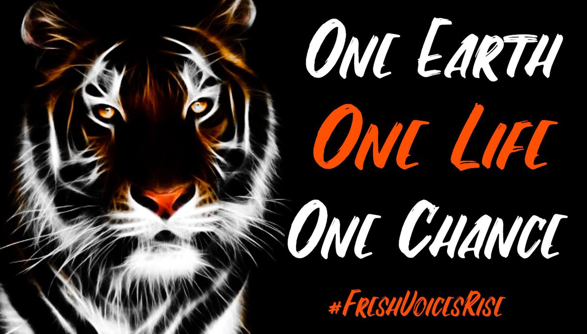 Isellmpls's tweet photo. Our Earth is amazing &amp; beautiful; it’s our home. Climate change is not a future issue, it’s happening right now. We cannot wait until it’s too late.  

Become involved to make positive changes to help. 

#FreshEarth
#FreshVoicesRise https://t.co/8LpZirxxfV