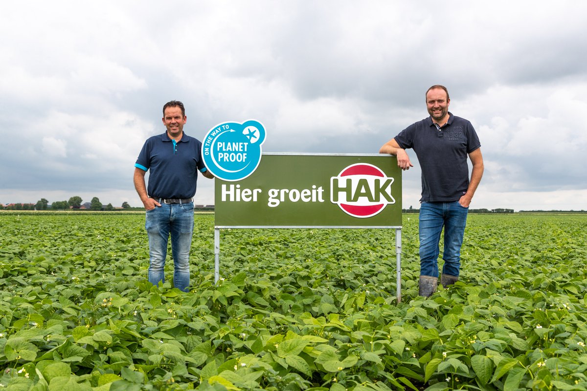 HAK werkt dit jaar ook in Zeeuws-Vlaanderen samen met telers om bruine bonen te telen volgens het On the way to PlanetProof schema. Het zullen de eerste bonen op de markt zijn met dit duurzaamheidskeurmerk. Meer info: bit.ly/3ruZgoP 
#duurzaam #OnthewaytoPlanetProof