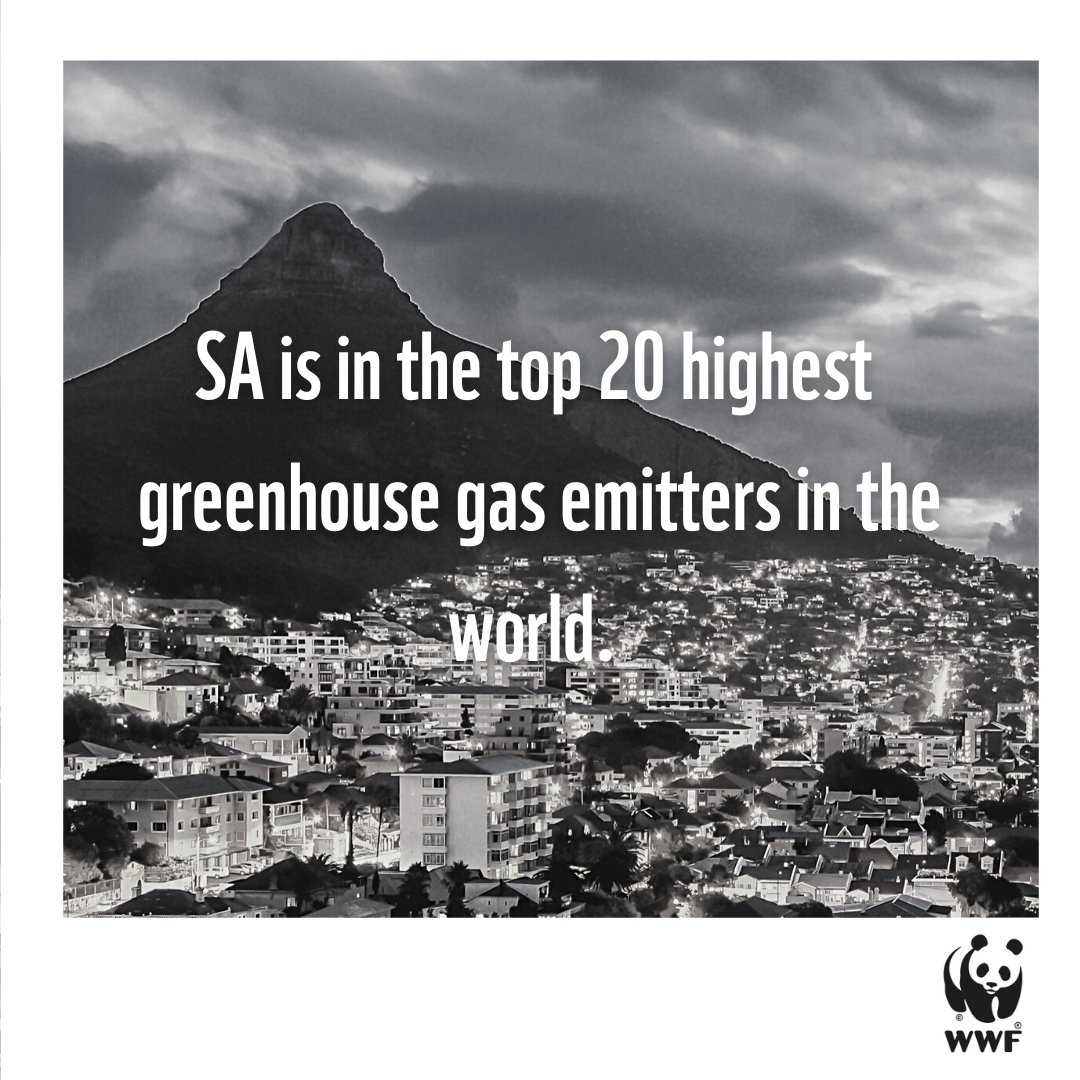 WWF South Africa tweet media