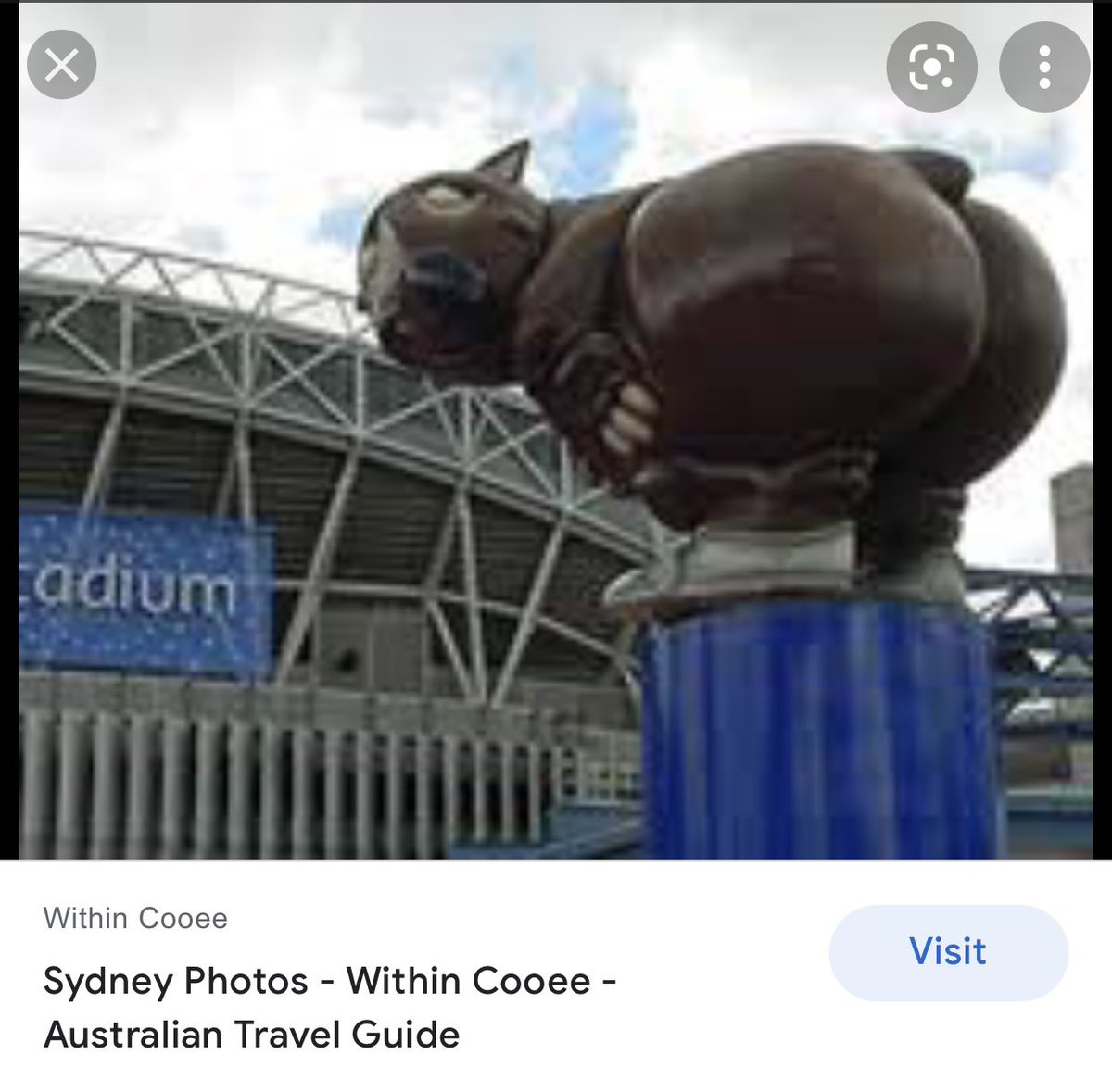 I told my 16yo this was the actual mascot at #Sydney2000 and she believed me.  🤣