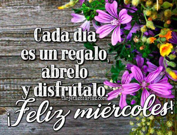 Rafosolis's tweet photo. https://t.co/7DZySmiVbj