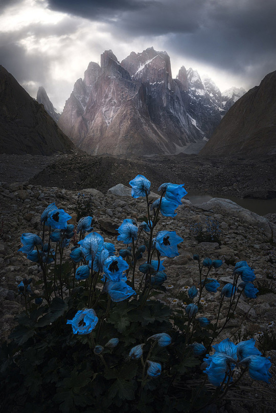 maksim (@maksim92306025) on Twitter photo 