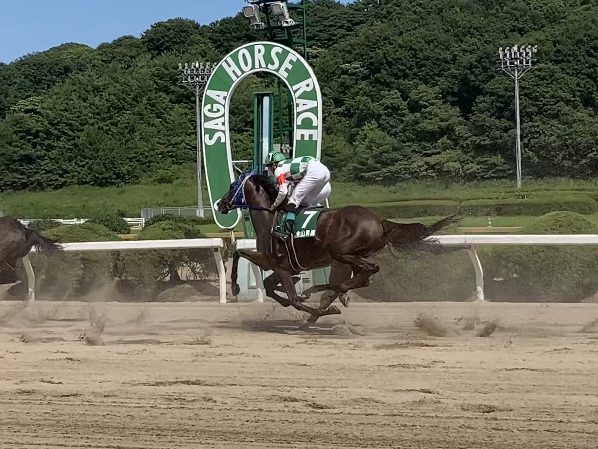使い勝手の良い レッドエンヴィー 金山昇馬騎手 佐賀 ヤングジョッキーズシリーズ 競馬 その他 Hlt No