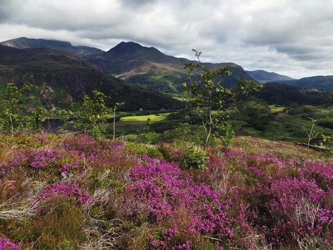 National Trust Cymru tweet media