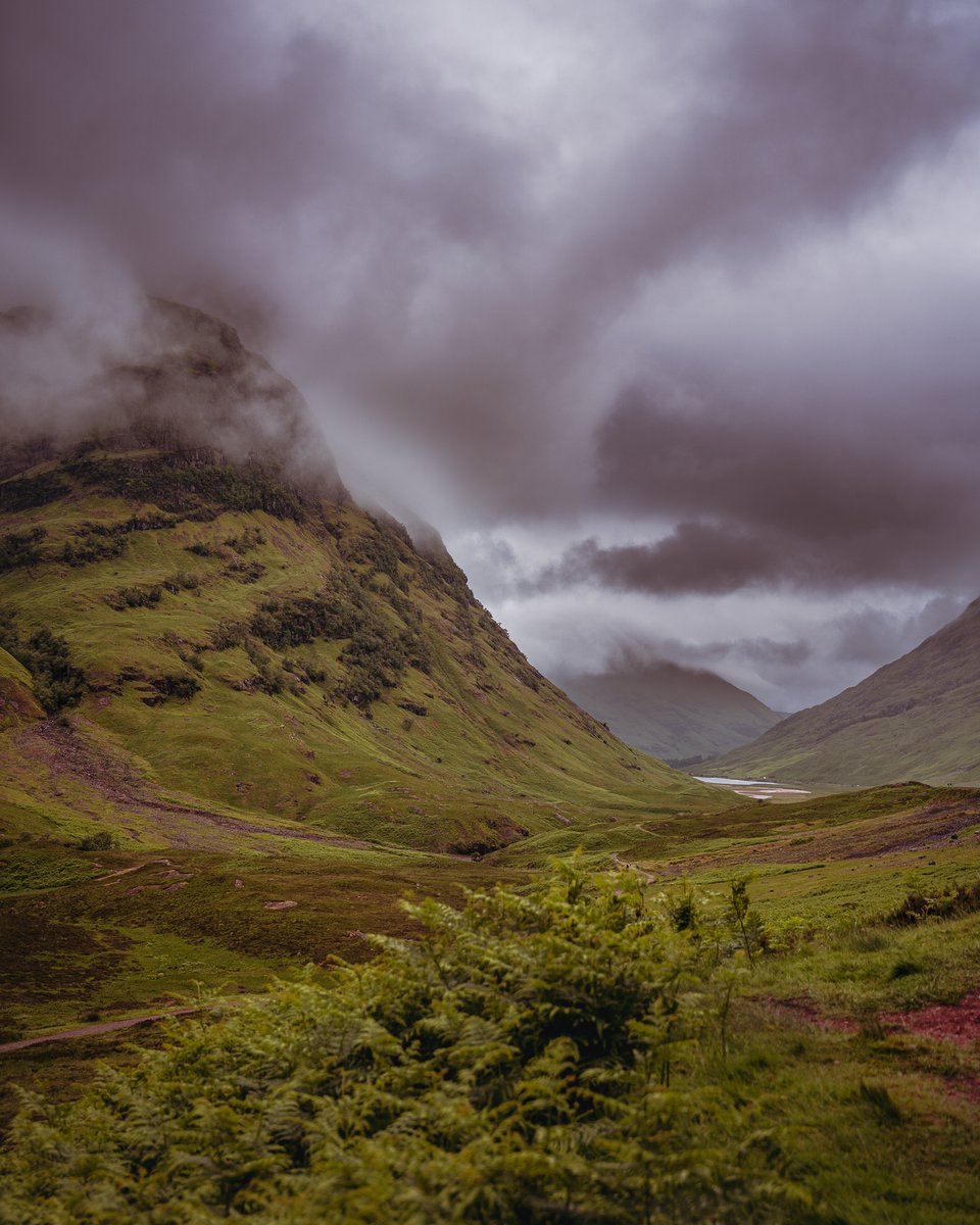 clanwander tweet media